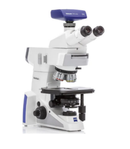 Zeiss microscope